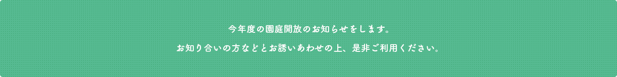 サブタイトル